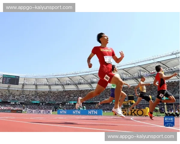 探索体育世界的全新领航者——凯云体育网